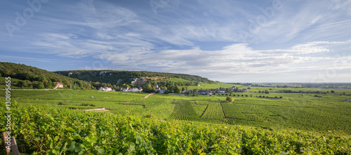 Vignoble en Bourgogne