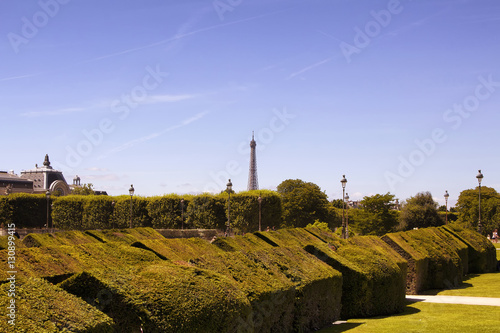 View of Jardin Des Tuileries and Eiffel tower in Paris. Expansive, 17th-century formal garden dotted with statues, including 18 bronzes by Maillol. photo