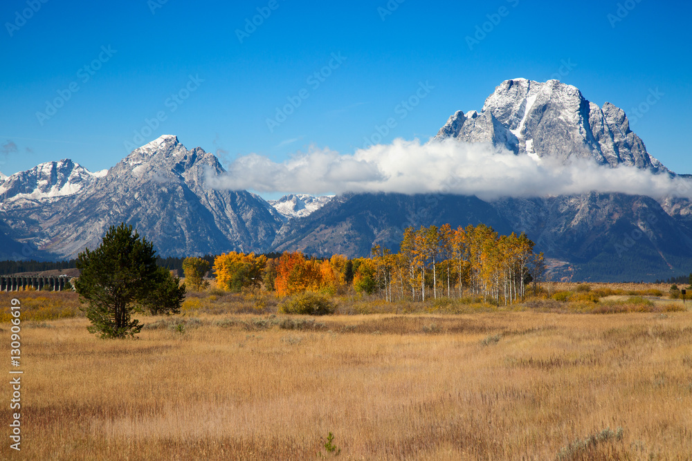 Fototapeta premium Grand Teton