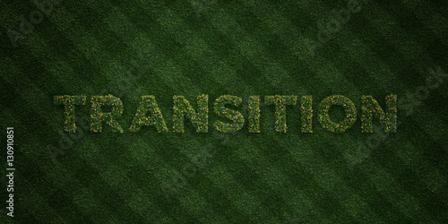Tableau sur toile TRANSITION - fresh Grass letters with flowers and dandelions - 3D rendered royalty free stock image
