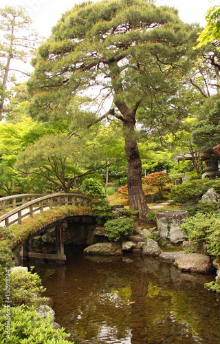 Jardin japonais avec petit pont