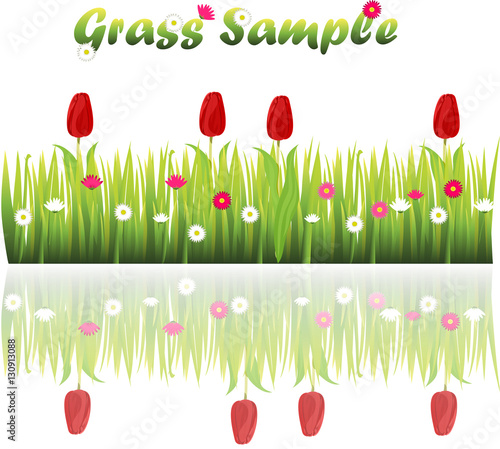 Very high quality original trendy illustration of grass with flowers, chamomile, tulip