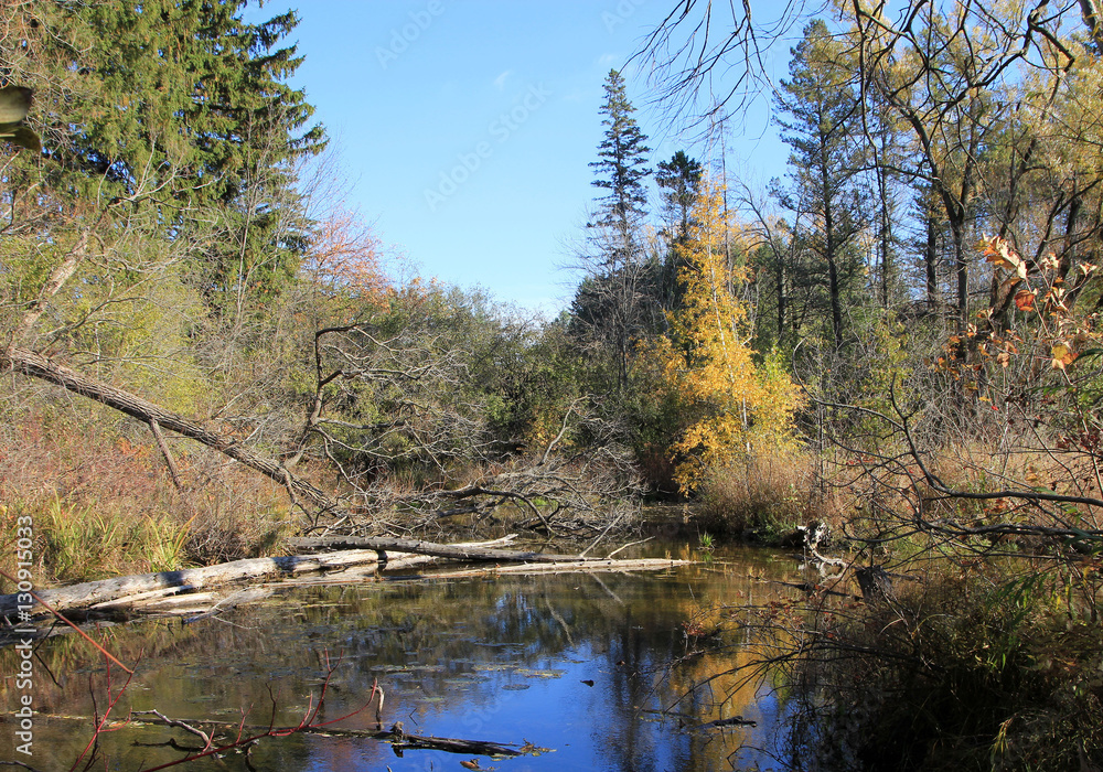 Fototapeta premium Fall landscape