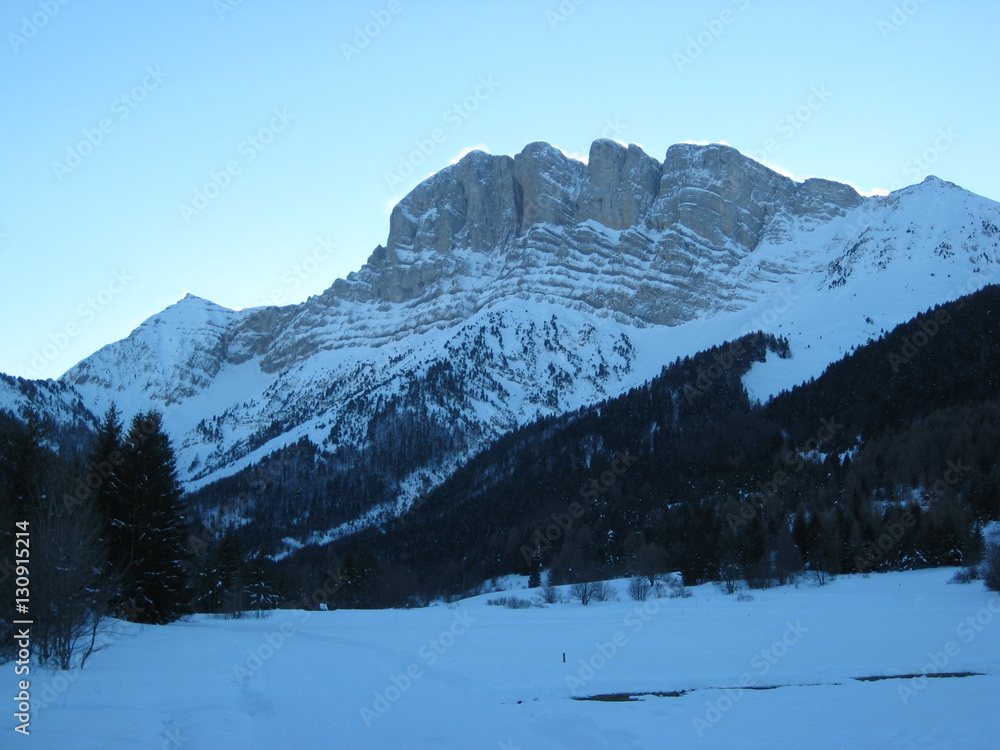 Berge mit Schnee, Wald und blauem Himmel bei Grenoble