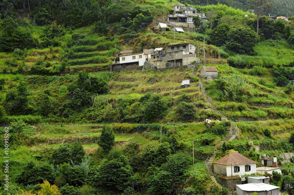 Maisons en terrasses à Machico (9200) dans la végétation luxuriante de l'île de Madère, au Portugal en Europe