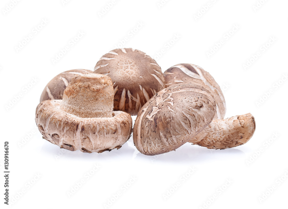 Shiitake Mushrooms on white background Shiitake Mushrooms on white background