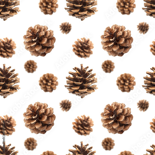 Fir cones seamless pattern isolated on white background, with clipping path