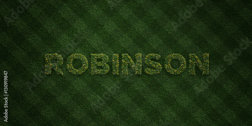 ROBINSON - fresh Grass letters with flowers and dandelions - 3D rendered royalty free stock image. Can be used for online banner ads and direct mailers..
