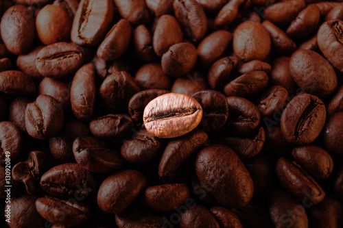 One coffee gold bean isolated on dark coffee background. Macro grain coffee black espresso. Dark roasted coffee.