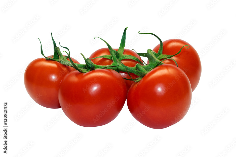 tomatoes branch on a white background tomatoes branch on a white background