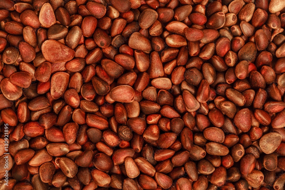 pine nuts in the shell, food background pine nuts in the shell, food background
