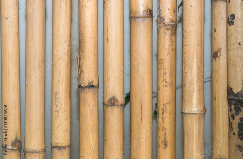 bamboo fence background  