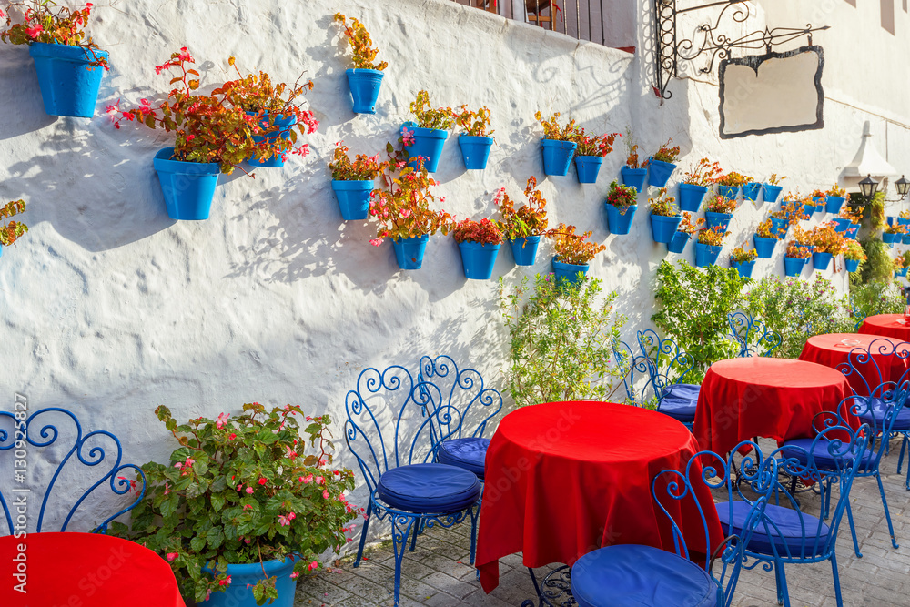Facade of house with flowers in blue pots in Mijas. Malaga prov