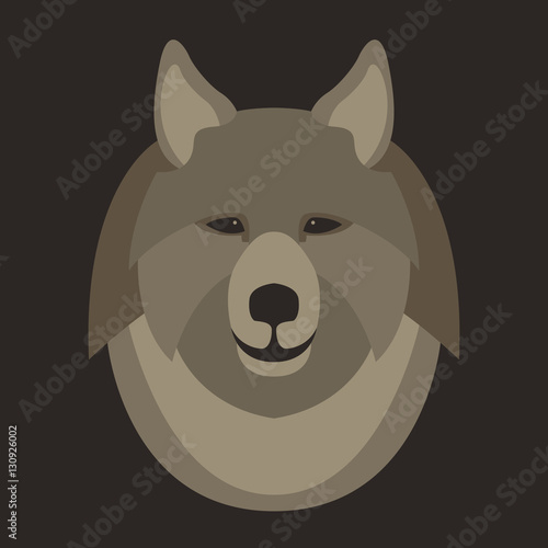 wolf head  vector illustration style Flat