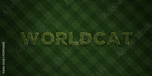 WORLDCAT - fresh Grass letters with flowers and dandelions - 3D rendered royalty free stock image. Can be used for online banner ads and direct mailers.. photo