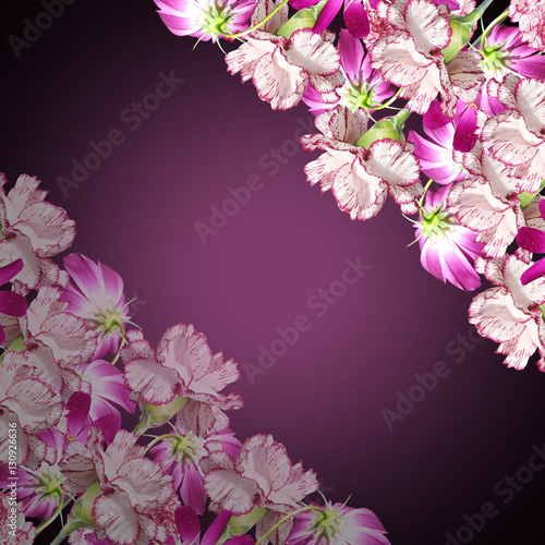 Beautiful background of flowers carnations and cosmos 