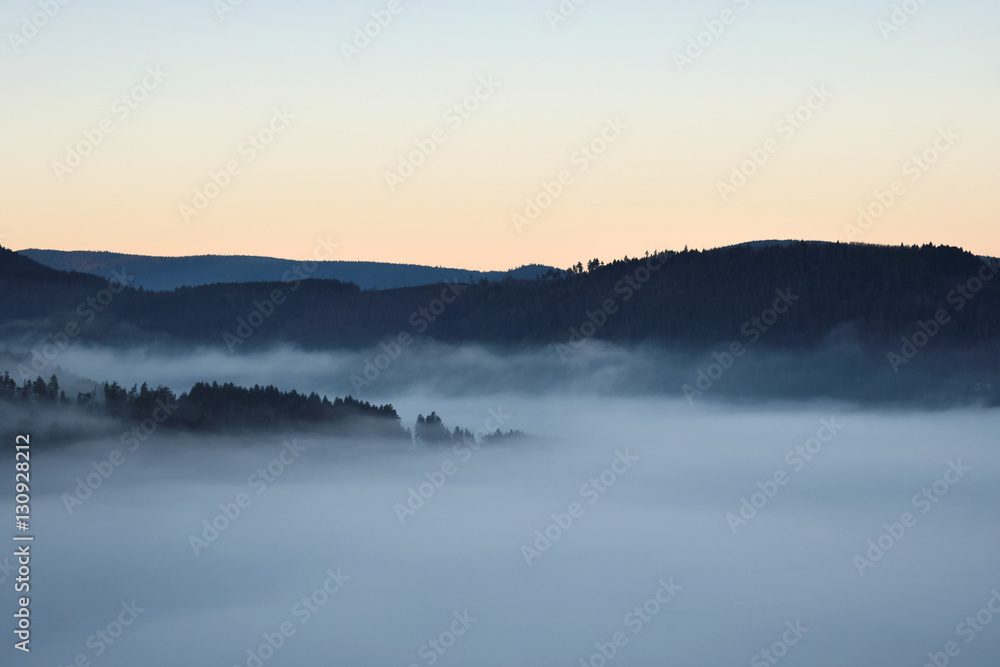 landscape in the fog (Lorraine-France) landscape in the fog (Lorraine-France)