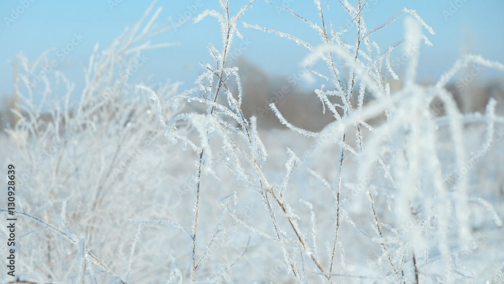 Obraz premium winter, snow, view