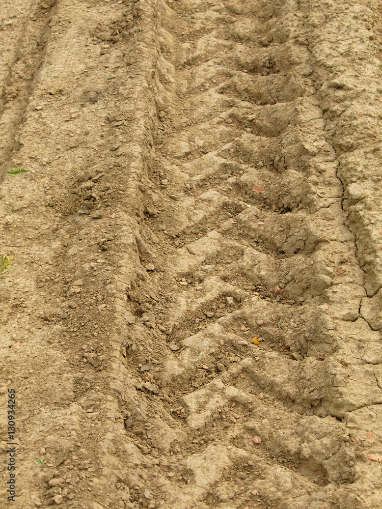 Tire tracks on the sand Tire tracks on the sand