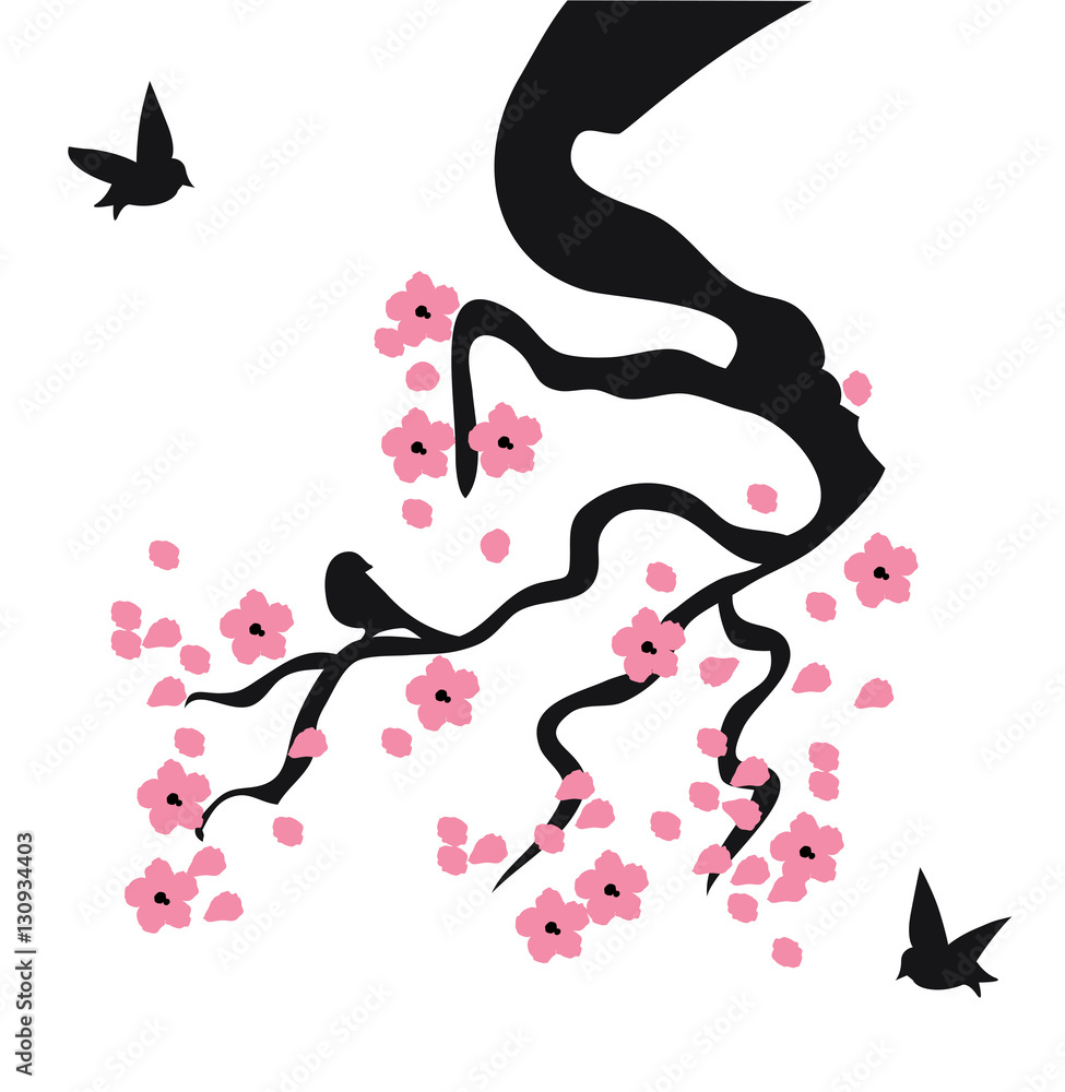 Fototapeta premium Vector Cherry Blossom