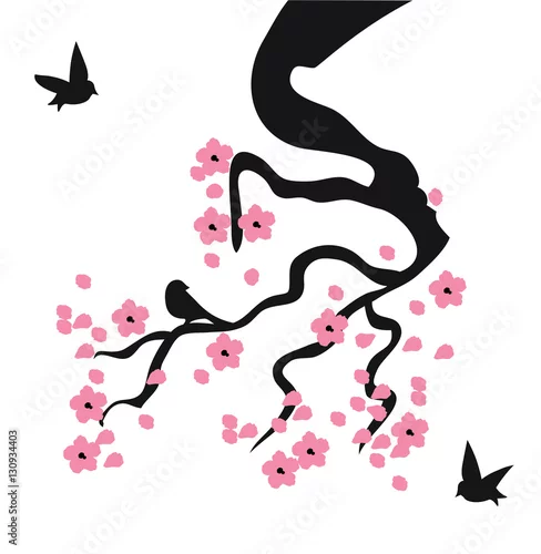 Naklejka na ścianę Wektor Kwiat Wiśni