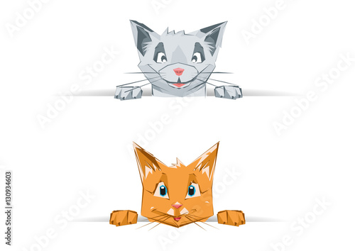 Cats faces