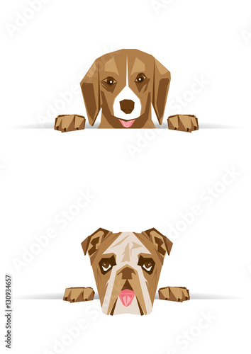 Facce di teneri cani con zampette