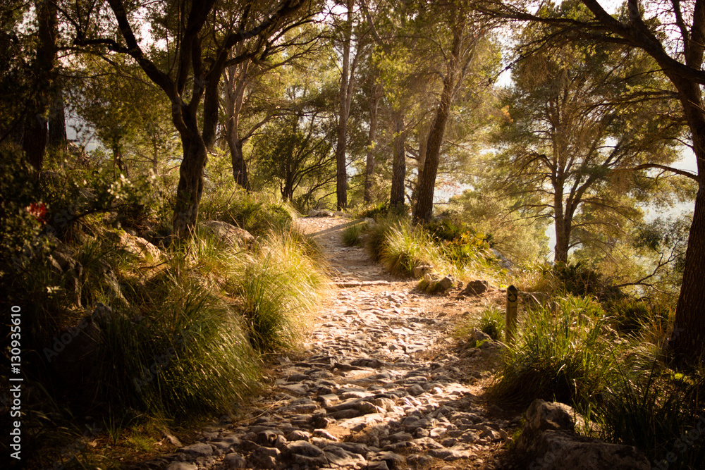 Obraz premium Wanderweg Mallorca 