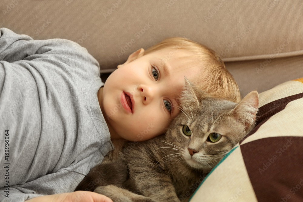 Closeup of adorable little boy playing with cute cat in the room Closeup of adorable little boy playing with cute cat in the room