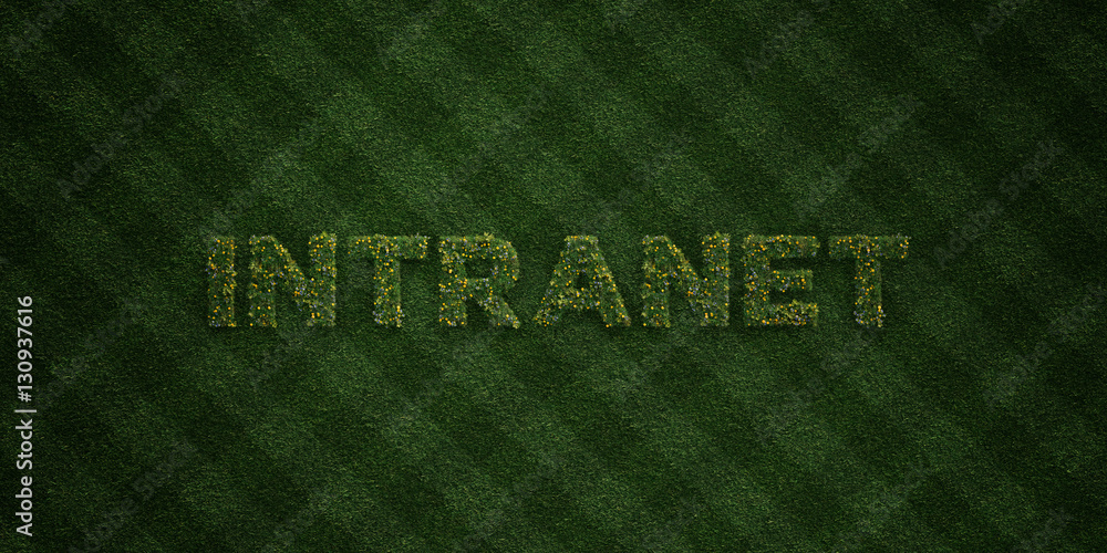 INTRANET - fresh Grass letters with flowers and dandelions - 3D rendered royalty free stock image. Can be used for online banner ads and direct mailers.. INTRANET - fresh Grass letters with flowers and dandelions - 3D rendered royalty free stock image. Can be used for online banner ads and direct mailers..