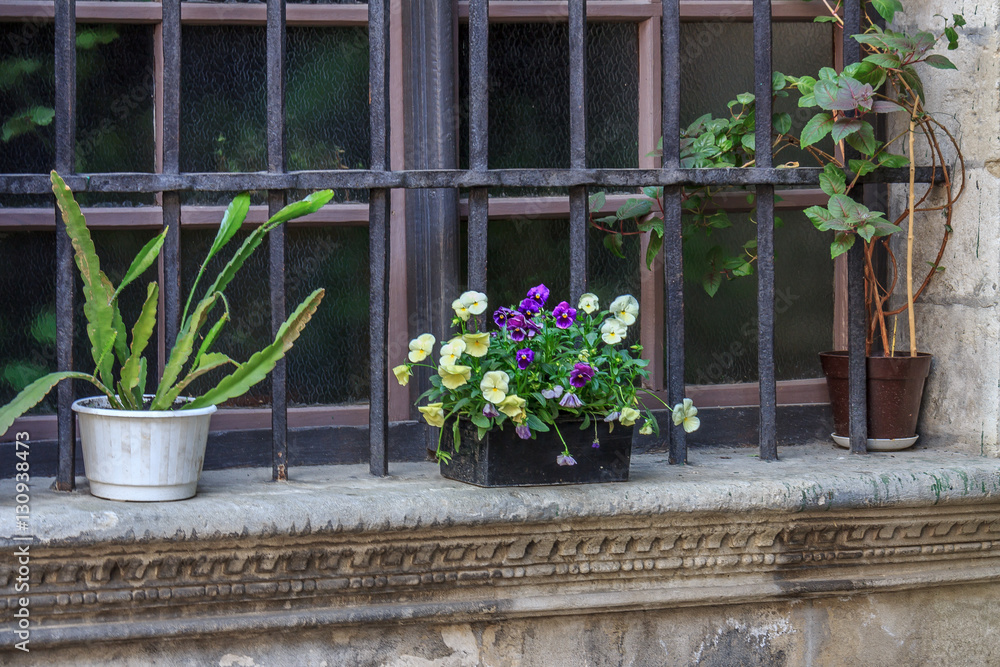 Stone windowsill with flowers