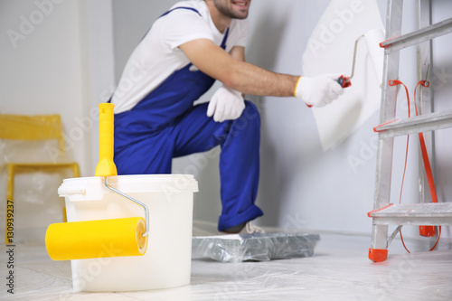 Paint roller and plastic bu...