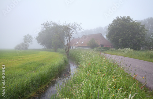 dense fog in Dutch farmland photo