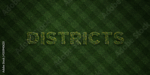 DISTRICTS - fresh Grass letters with flowers and dandelions - 3D rendered royalty free stock image. Can be used for online banner ads and direct mailers..