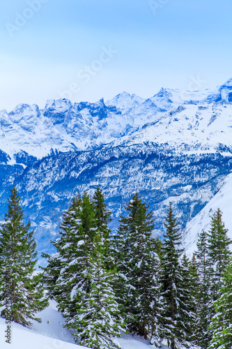 winter landscape. winter background. mountains at winter