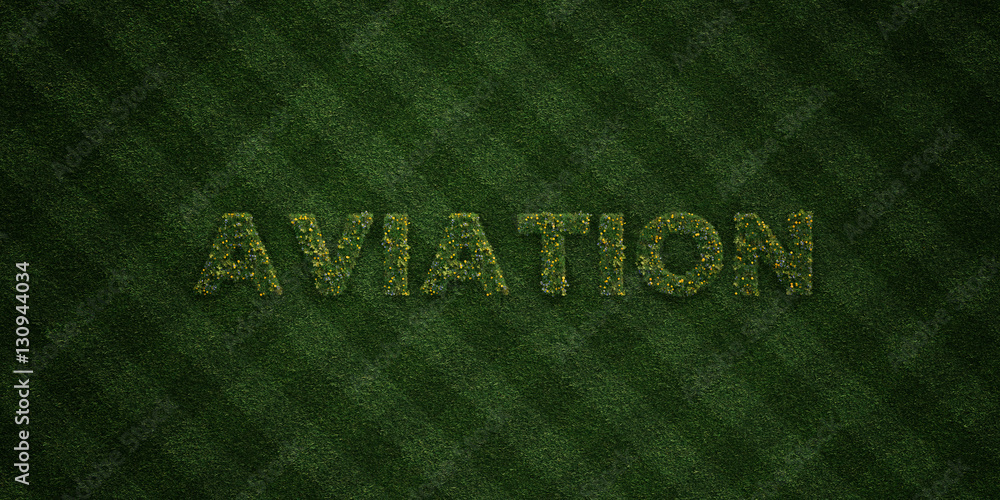 AVIATION - fresh Grass letters with flowers and dandelions - 3D rendered royalty free stock image. Can be used for online banner ads and direct mailers.. AVIATION - fresh Grass letters with flowers and dandelions - 3D rendered royalty free stock image. Can be used for online banner ads and direct mailers..