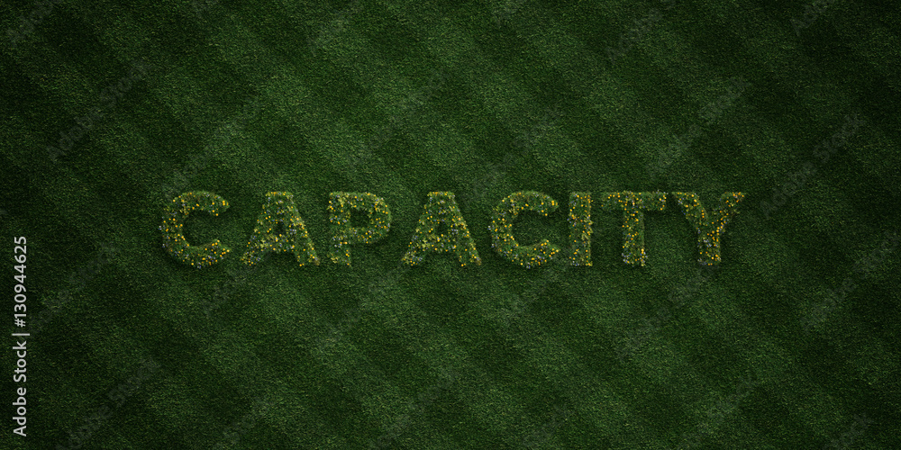CAPACITY - fresh Grass letters with flowers and dandelions - 3D rendered royalty free stock image. Can be used for online banner ads and direct mailers.. CAPACITY - fresh Grass letters with flowers and dandelions - 3D rendered royalty free stock image. Can be used for online banner ads and direct mailers..