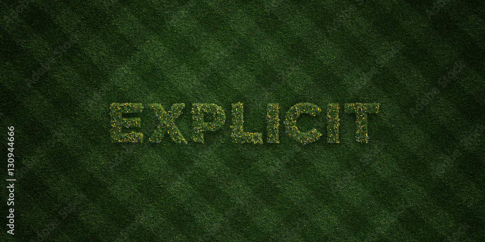 EXPLICIT - fresh Grass letters with flowers and dandelions - 3D rendered royalty free stock image. Can be used for online banner ads and direct mailers.. EXPLICIT - fresh Grass letters with flowers and dandelions - 3D rendered royalty free stock image. Can be used for online banner ads and direct mailers..