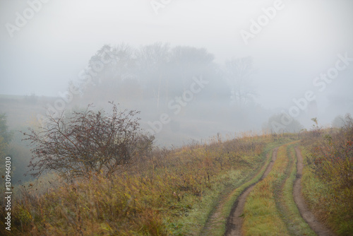 Forest road in the morning mist