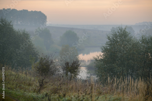 dense morning fog in the summer woods by the pond