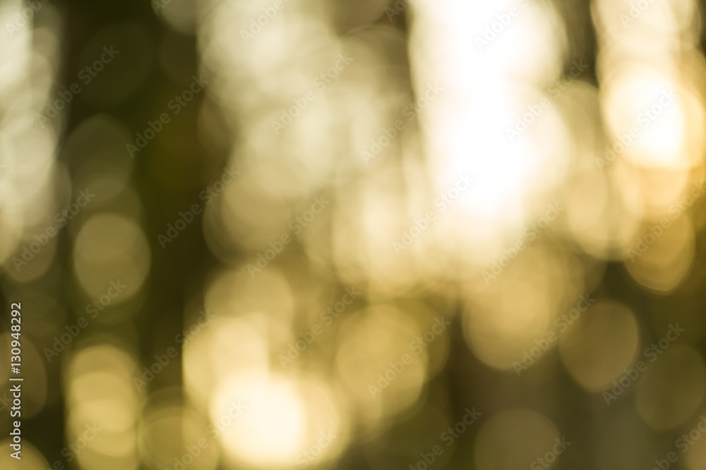 Winter forest bokeh background Winter forest bokeh background