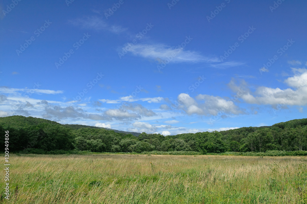 草原と青い空