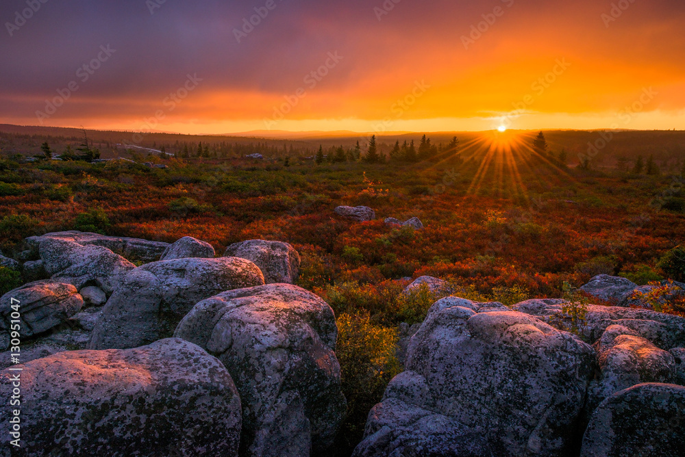 Obraz premium West Virginia, scenic sunset, Dolly Sods
