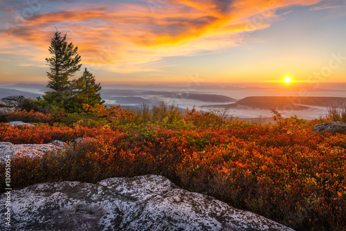 West Virginia, scenic sunrise, Dolly Sods