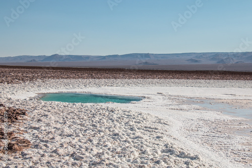 Hidden lagoons of Baltinache  Atacama Desert  Chile