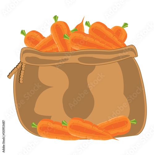 Bag with carrot