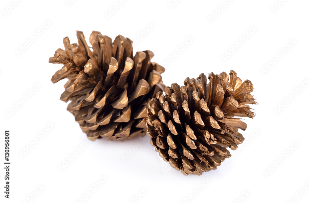 dry conifer cones for decoration on white background dry conifer cones for decoration on white background