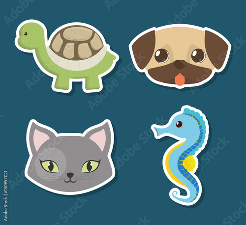 turtle dog cat seahorse pet related icon image vector illustration design 