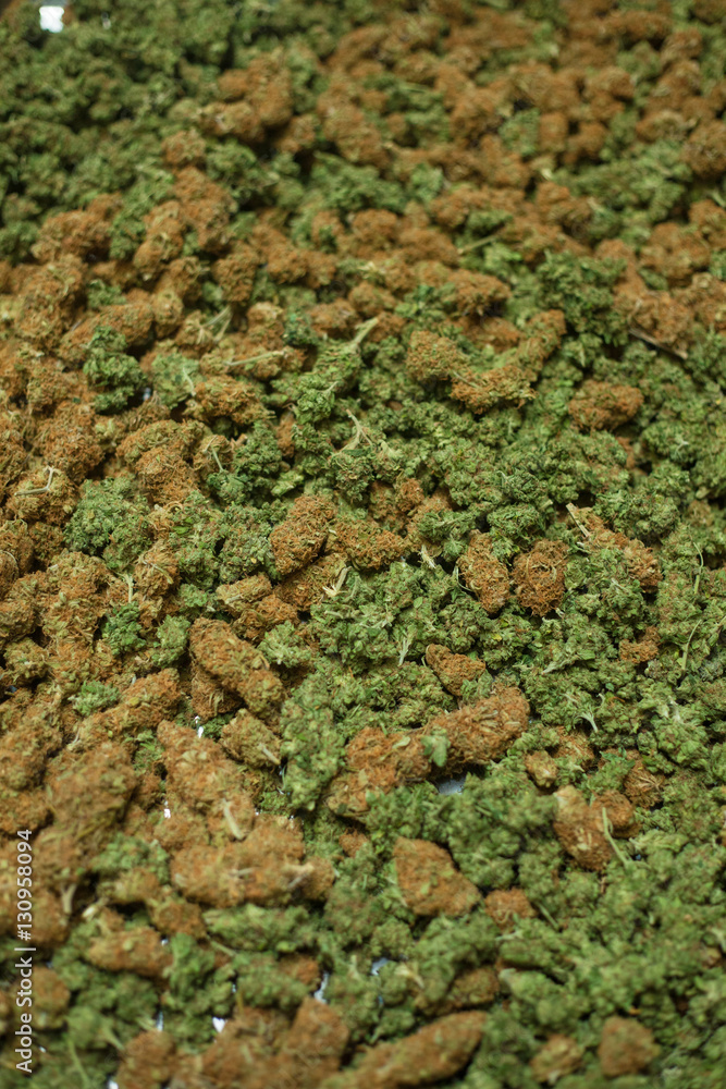 Obraz premium Buds 2