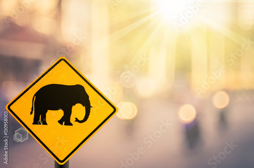 Traffic sign, elephant warning sign on blur road background.